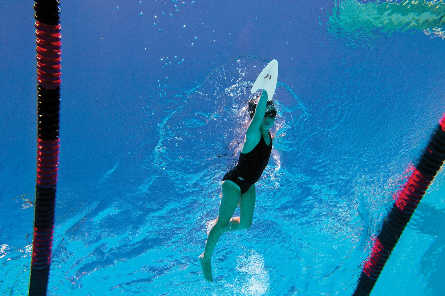 Freestyler Hand Paddles