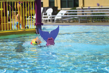 Aquarius Fin